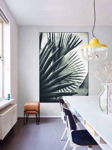 Palm Shade 2