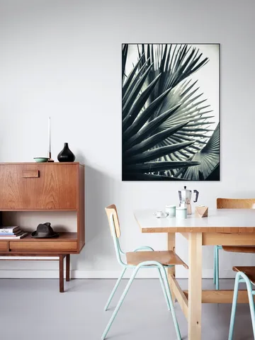 Palm Shade 2
