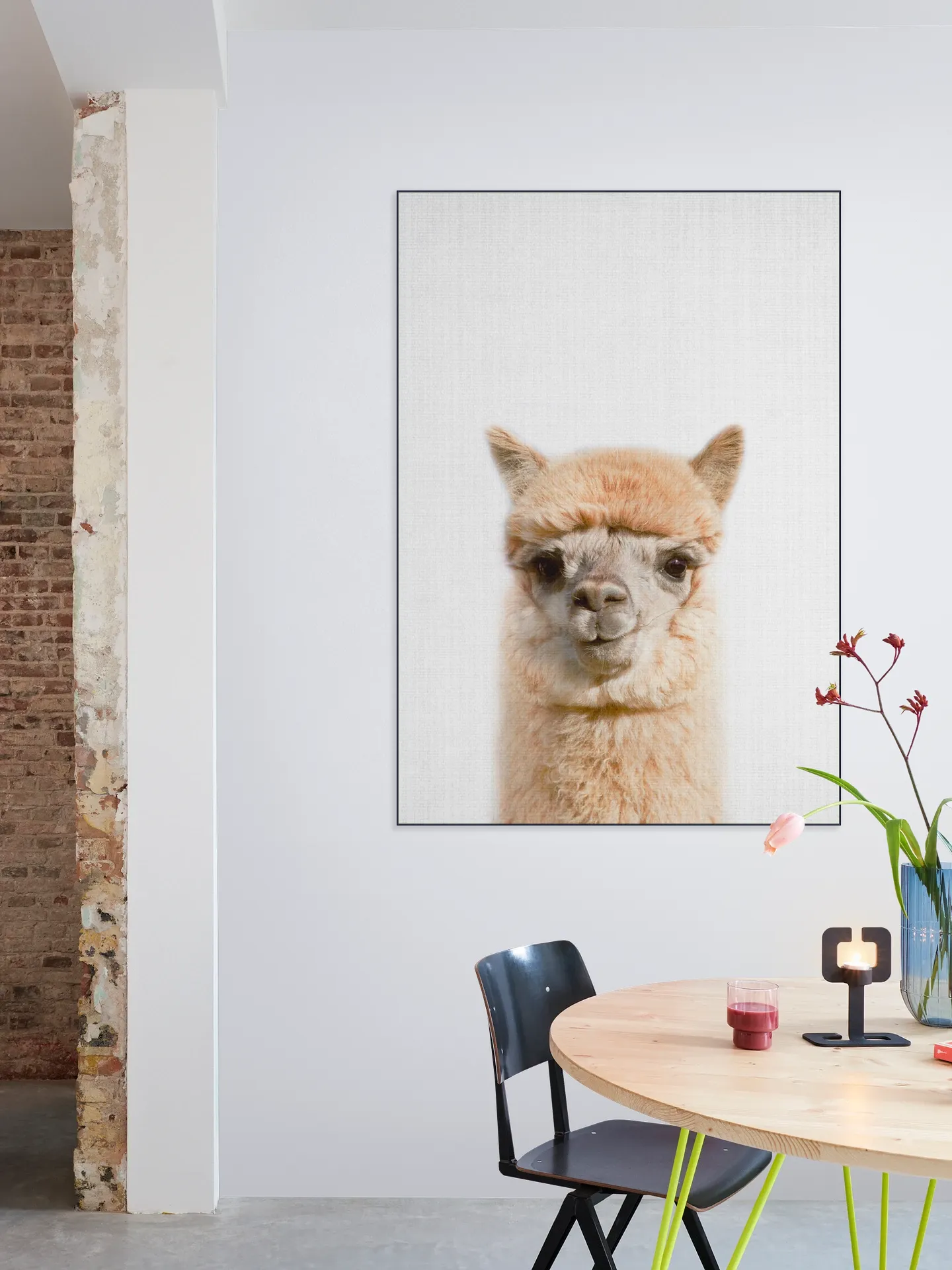 Alpaca