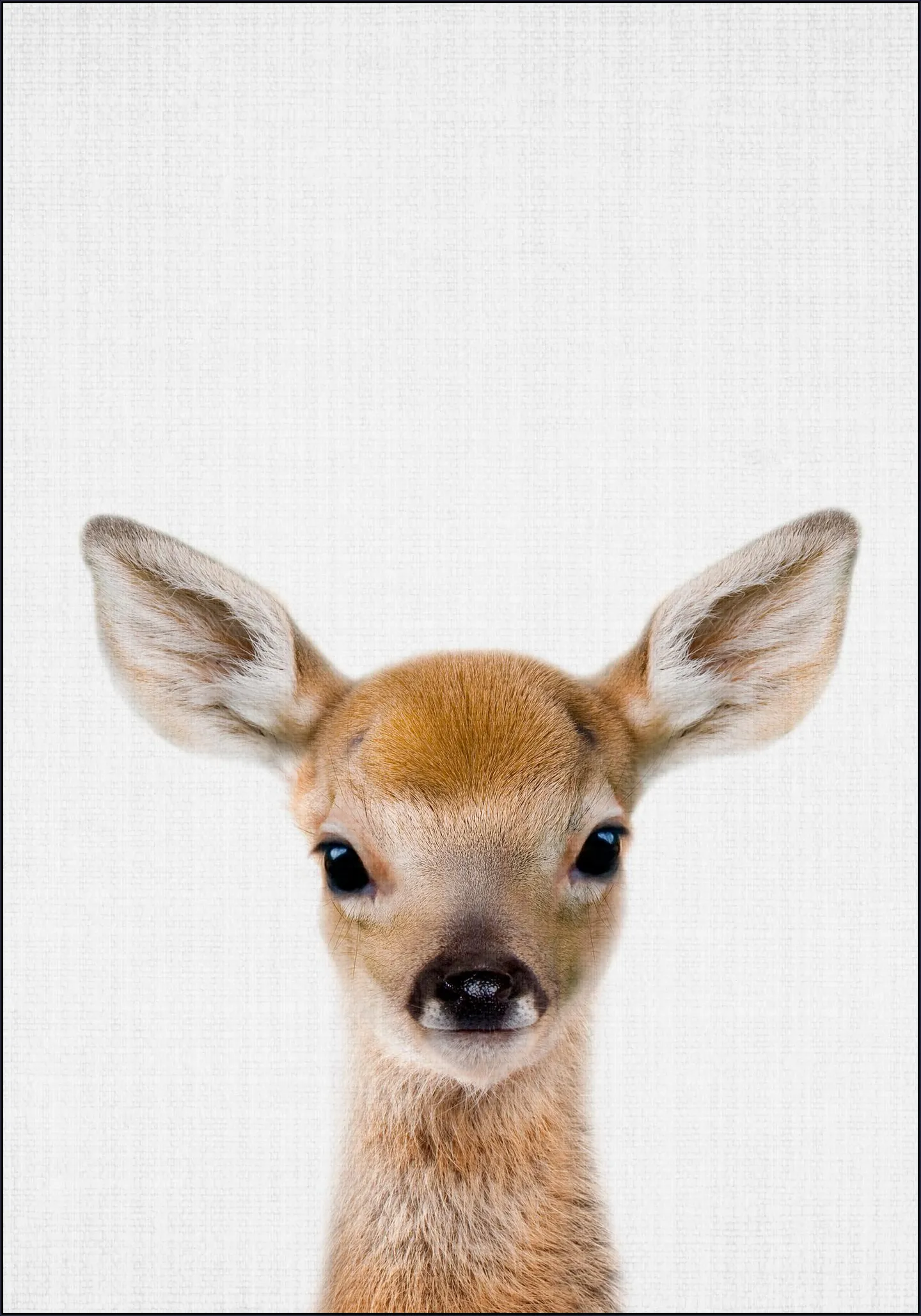 Roe