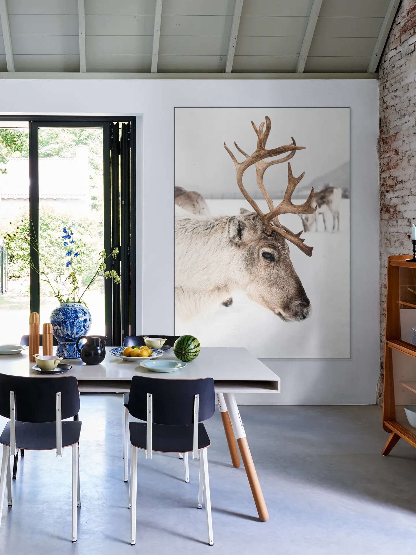 Reindeer in Norway