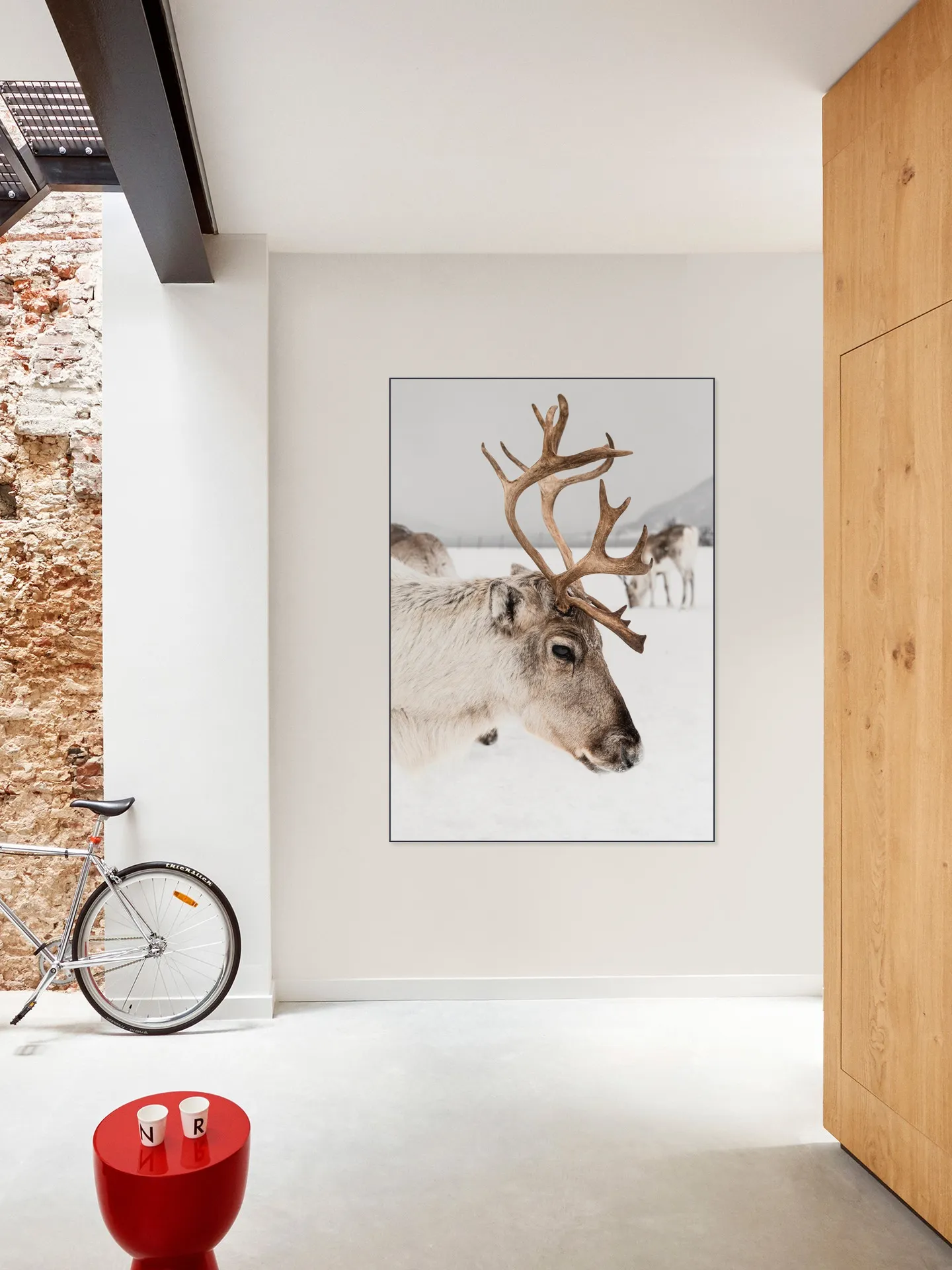 Reindeer in Norway