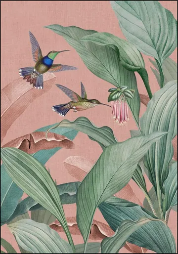 Birds of Paradise Garden