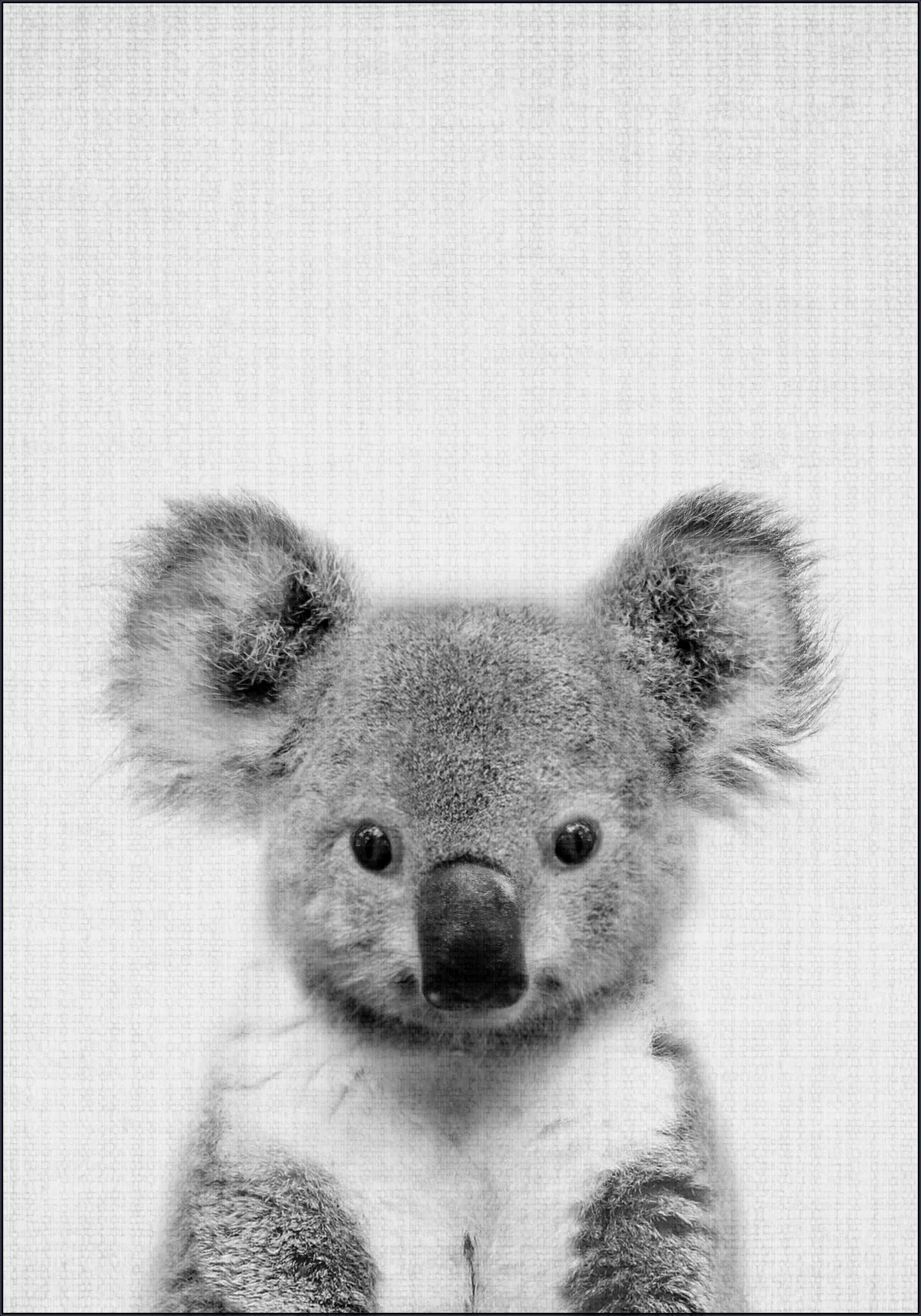 Print 67 Koala