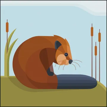 Bever