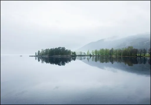 Scandinavian Silence