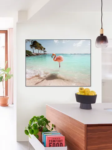 Flamingo Series Crystal Clear