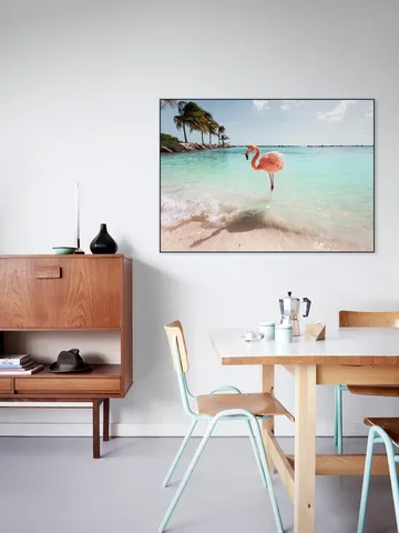 Flamingo Series Crystal Clear