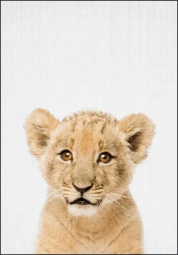 Baby lion - Brown eyes