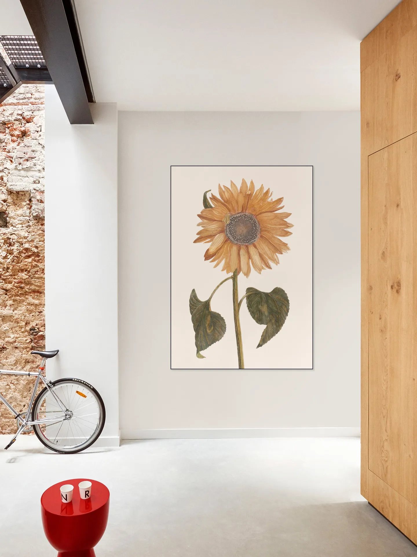 Tournesol - Zonnebloem