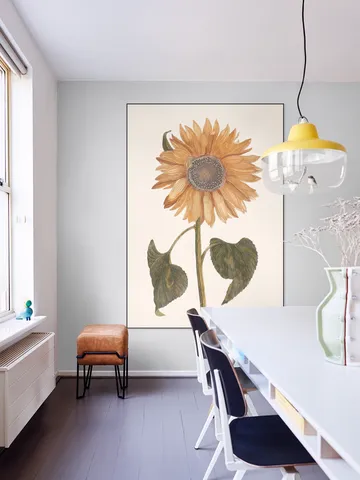 Tournesol - Zonnebloem