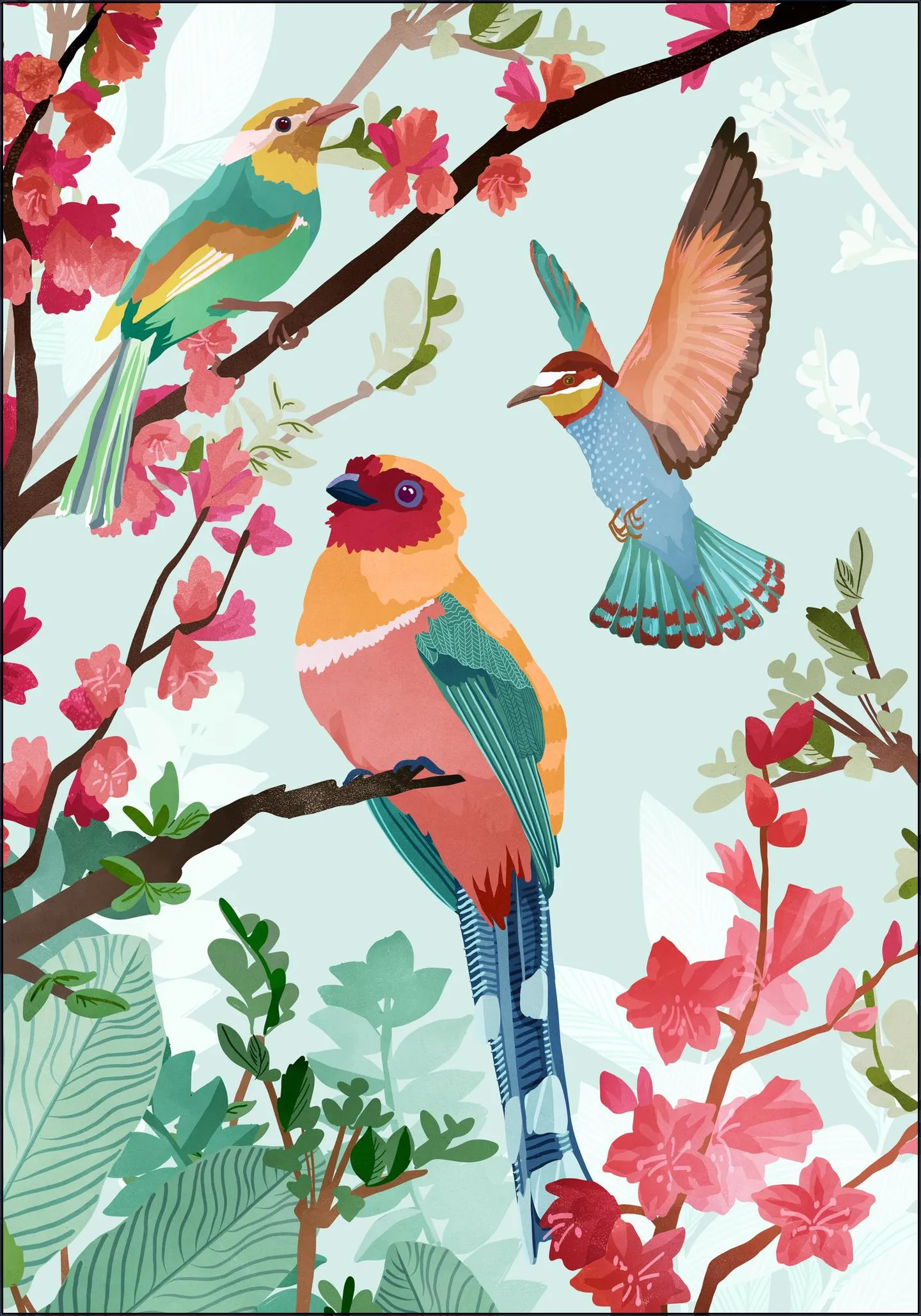 Birds of Summer