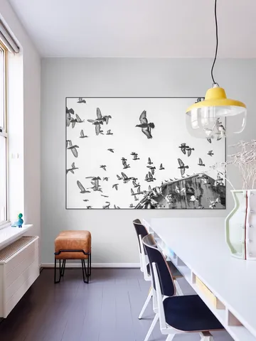 Birds in the Sky