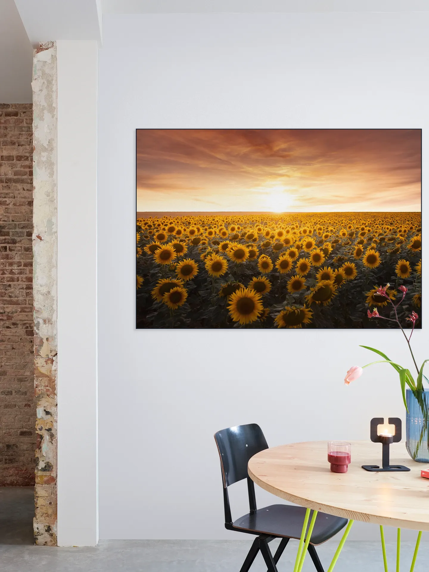 Sunflower Sunrise France 