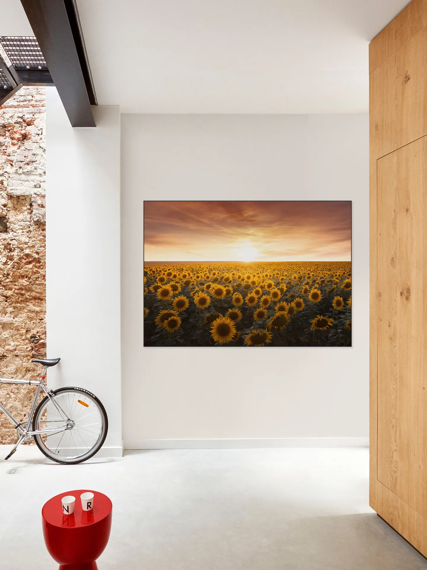 Sunflower Sunrise France 