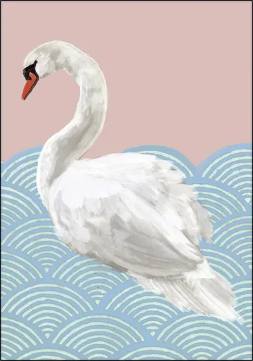 Swan