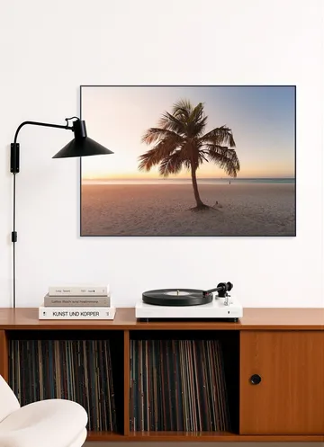 Summer Vibes Palm