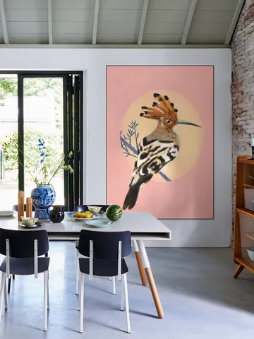 Hoopoe