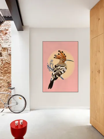 Hoopoe
