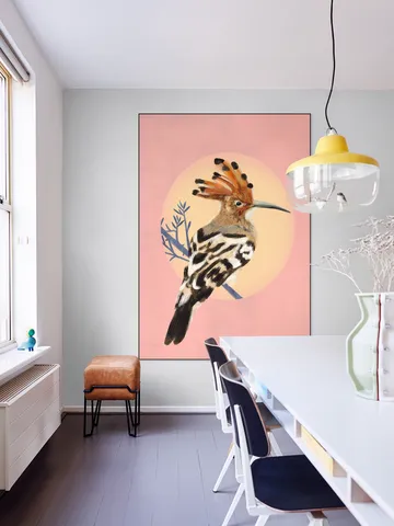 Hoopoe