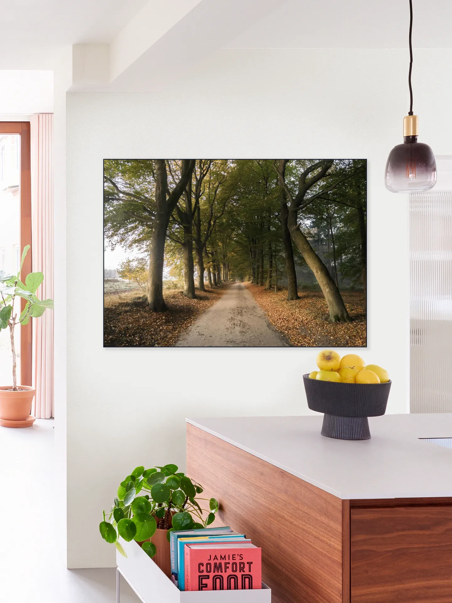 Autumn Forest Lane