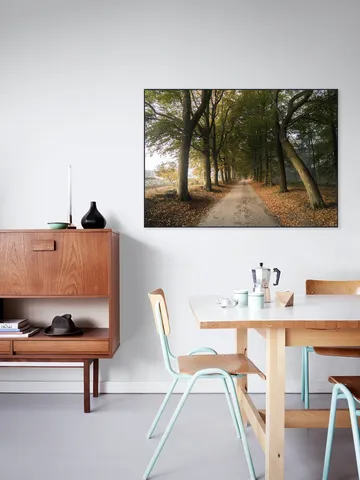 Autumn Forest Lane