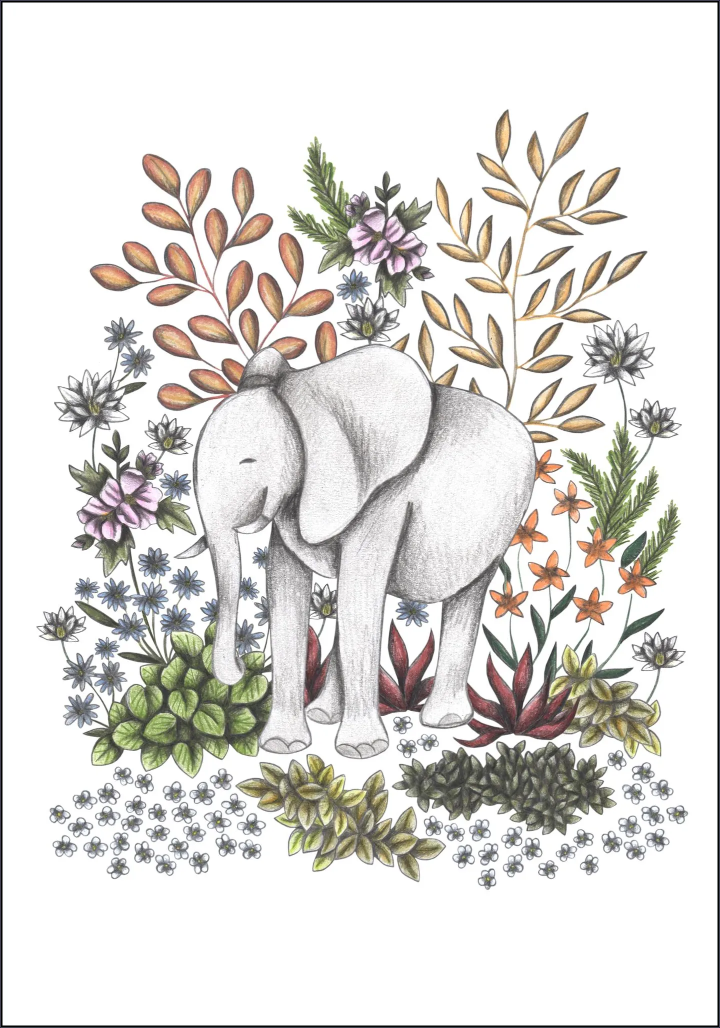 Safari Elephant
