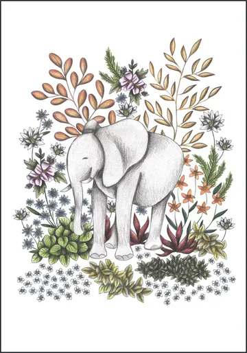 Safari Elephant