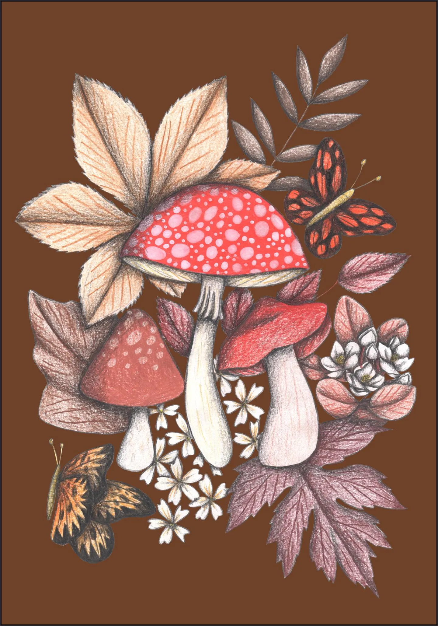 Mushrooms Magic 1