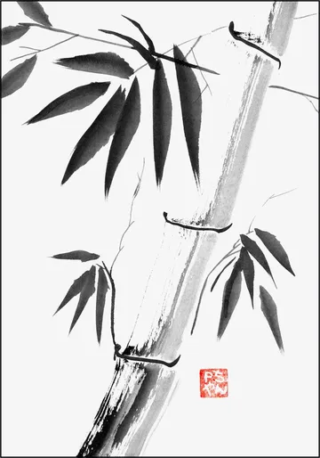 Bamboo Clear Petit