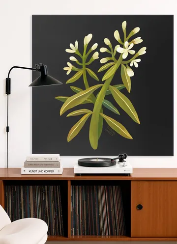 White Flower