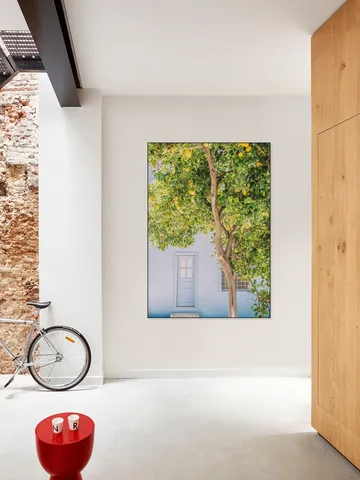 Blue House Lemon Tree