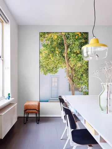 Blue House Lemon Tree