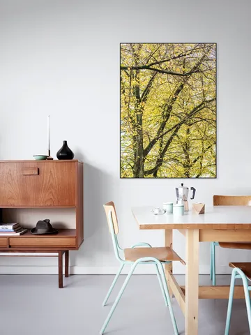 Yellow Autumn Trees