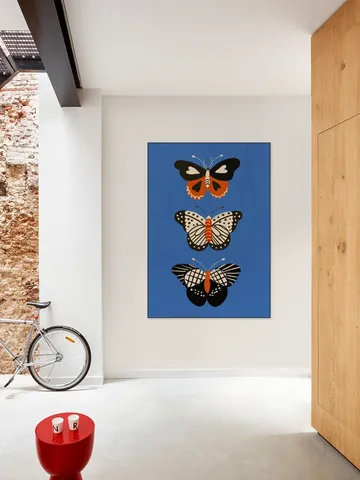 Butterflies