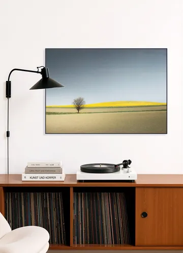 Lone Tree in Spring Light