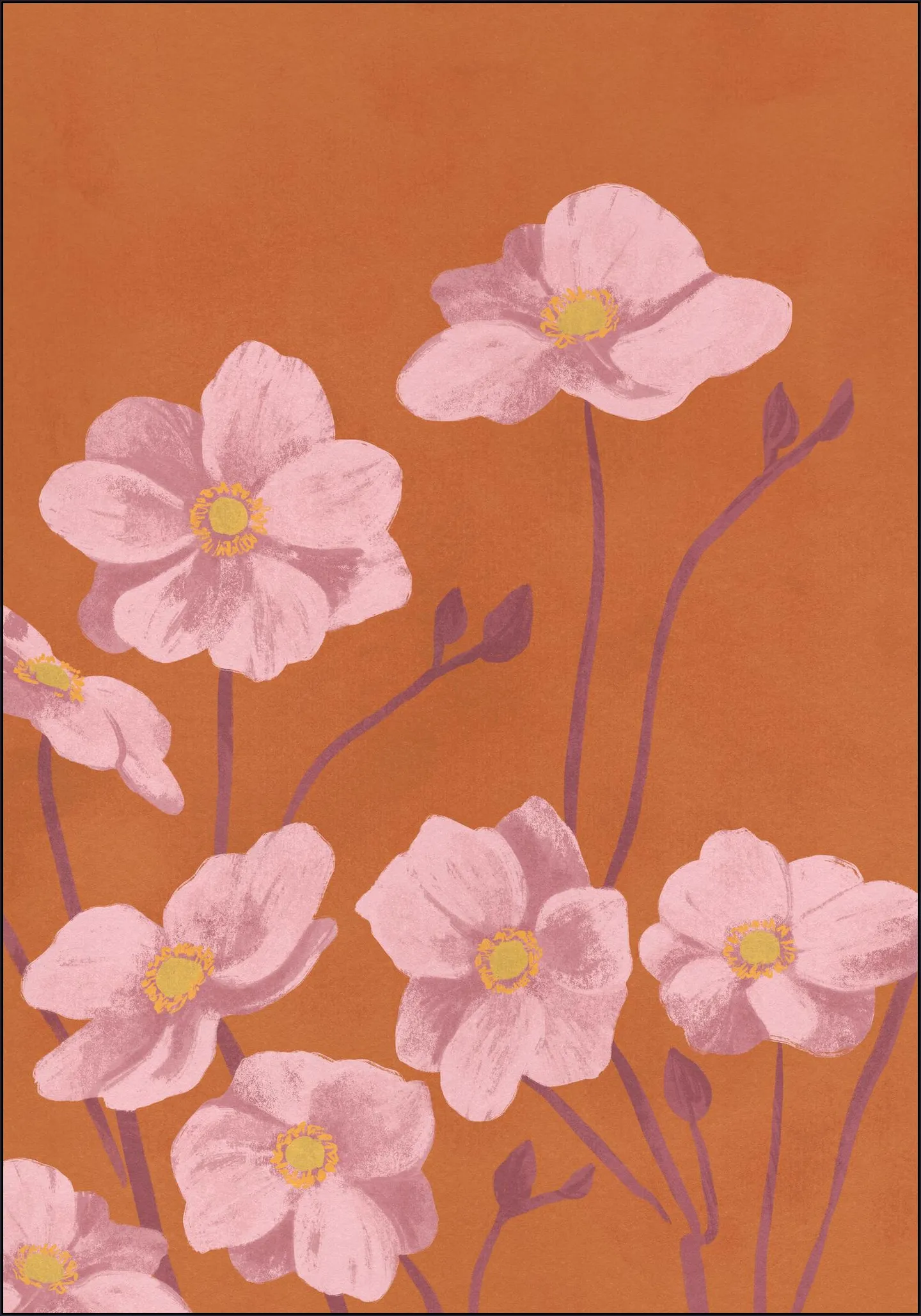 Anemone