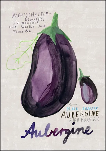 Aubergine DE