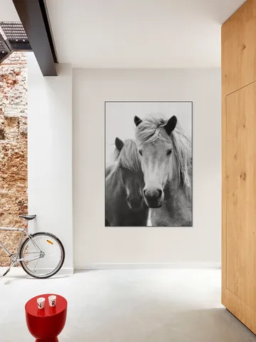 Print 180 Horses