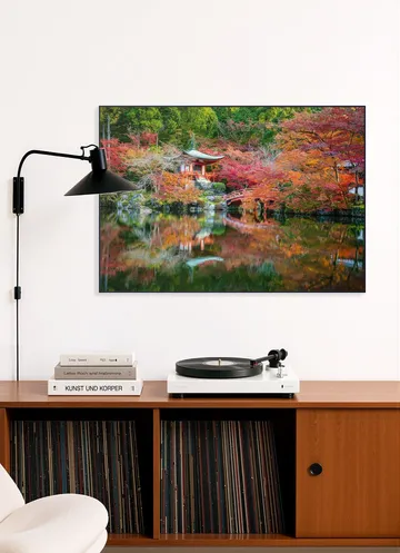 Japanese Garden Autumn