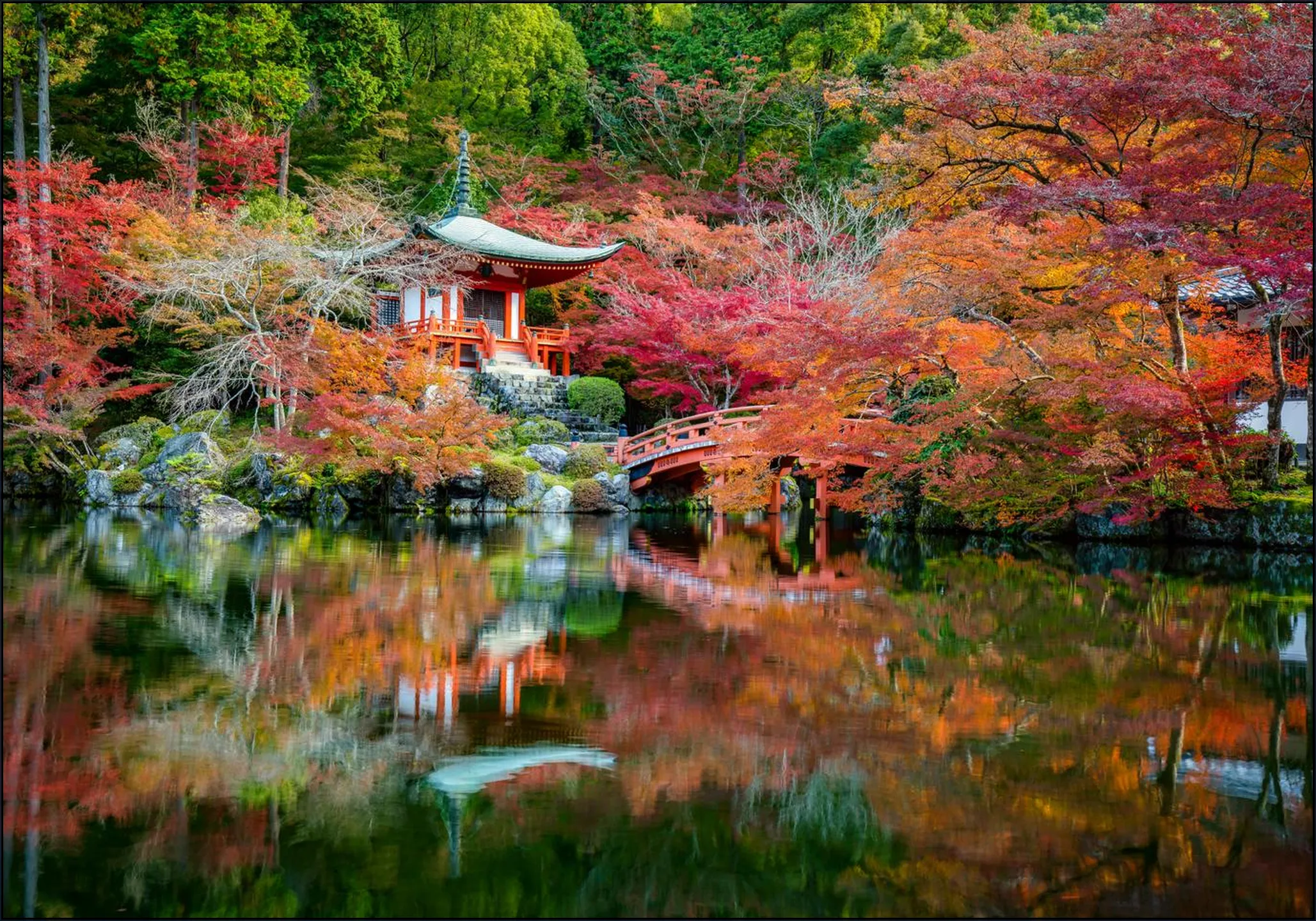 Japanese Garden Autumn