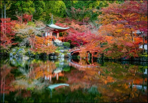 Japanese Garden Autumn