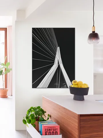 Erasmus Bridge