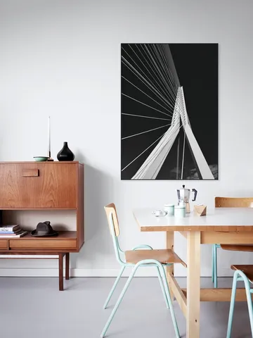 Erasmus Bridge