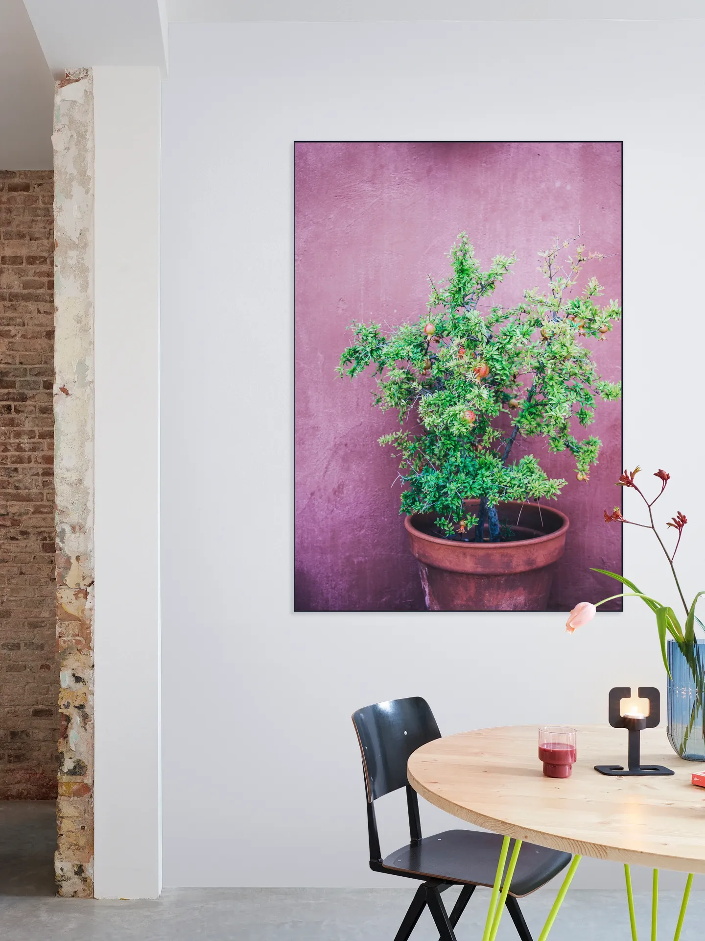 Purple Pomegranate