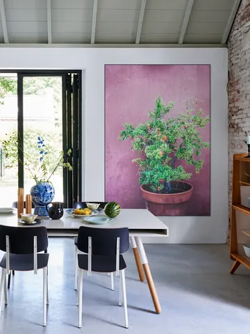 Purple Pomegranate