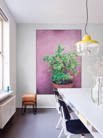 Purple Pomegranate