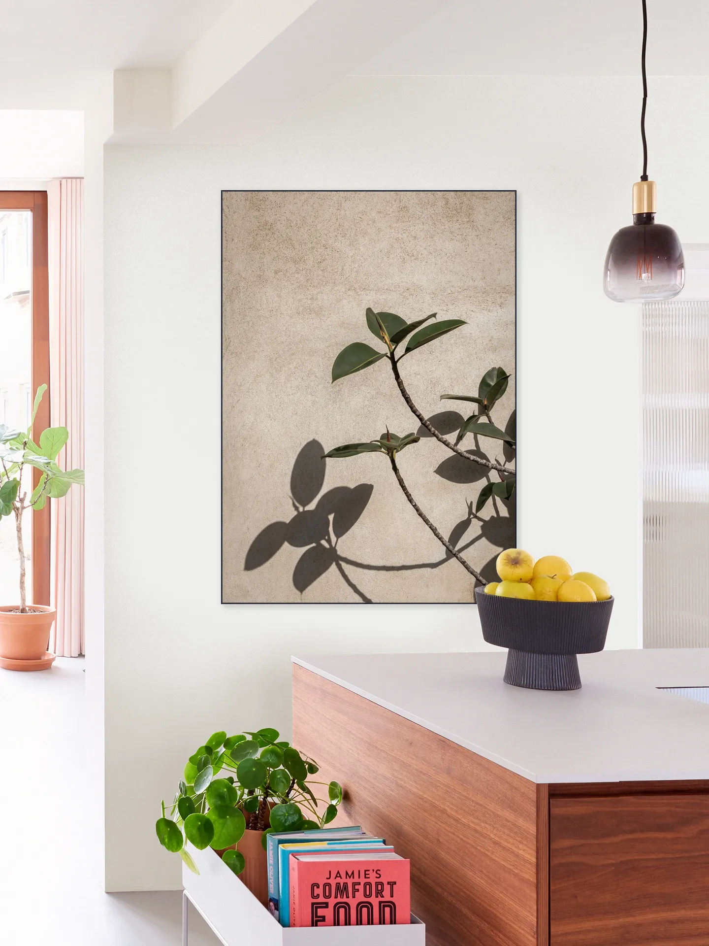 Shadow of Plant