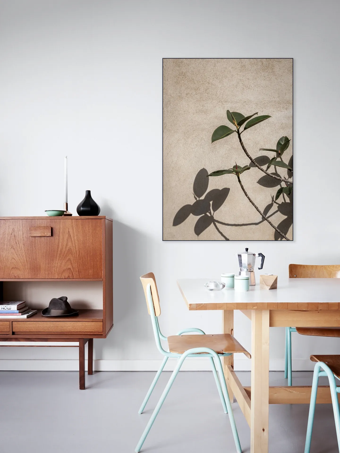 Shadow of Plant