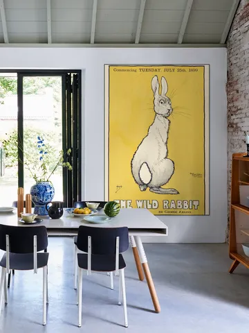 The Wild Rabbit